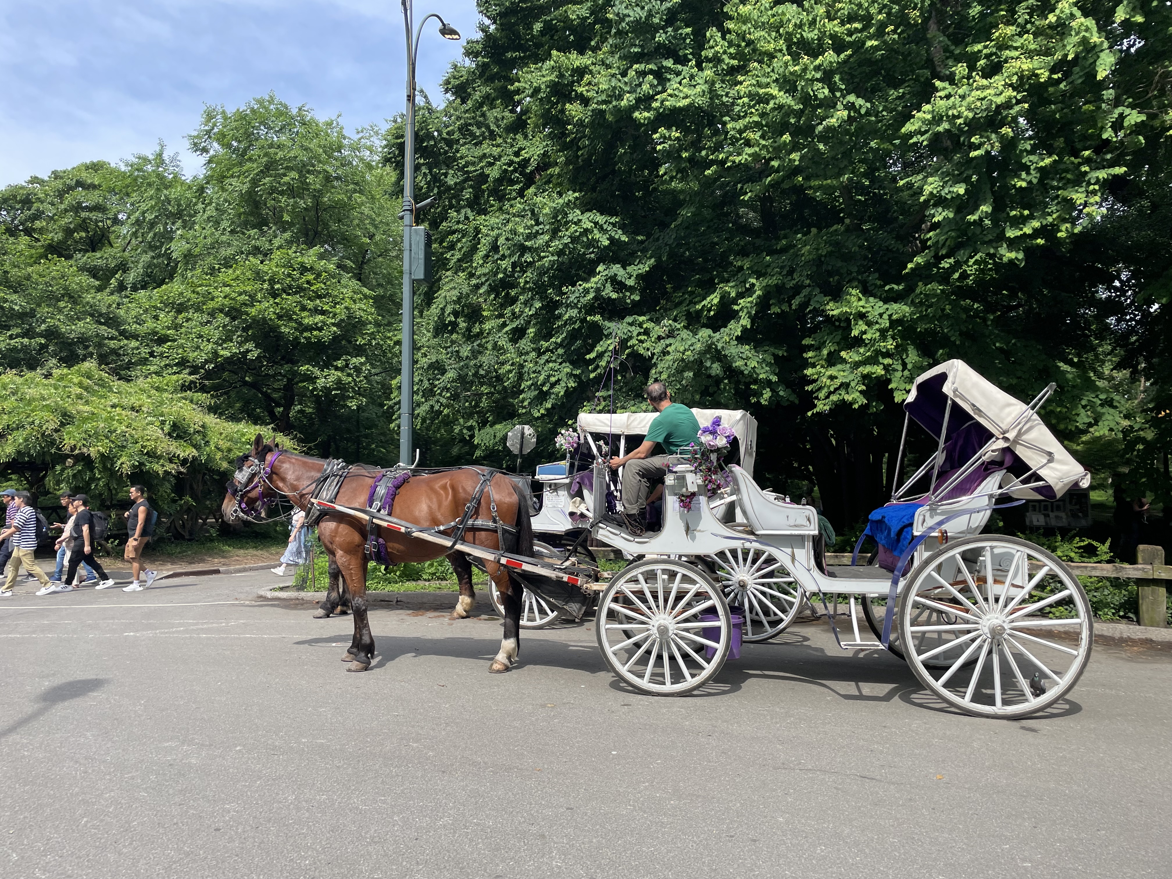 A picture of 4th street in May 2024