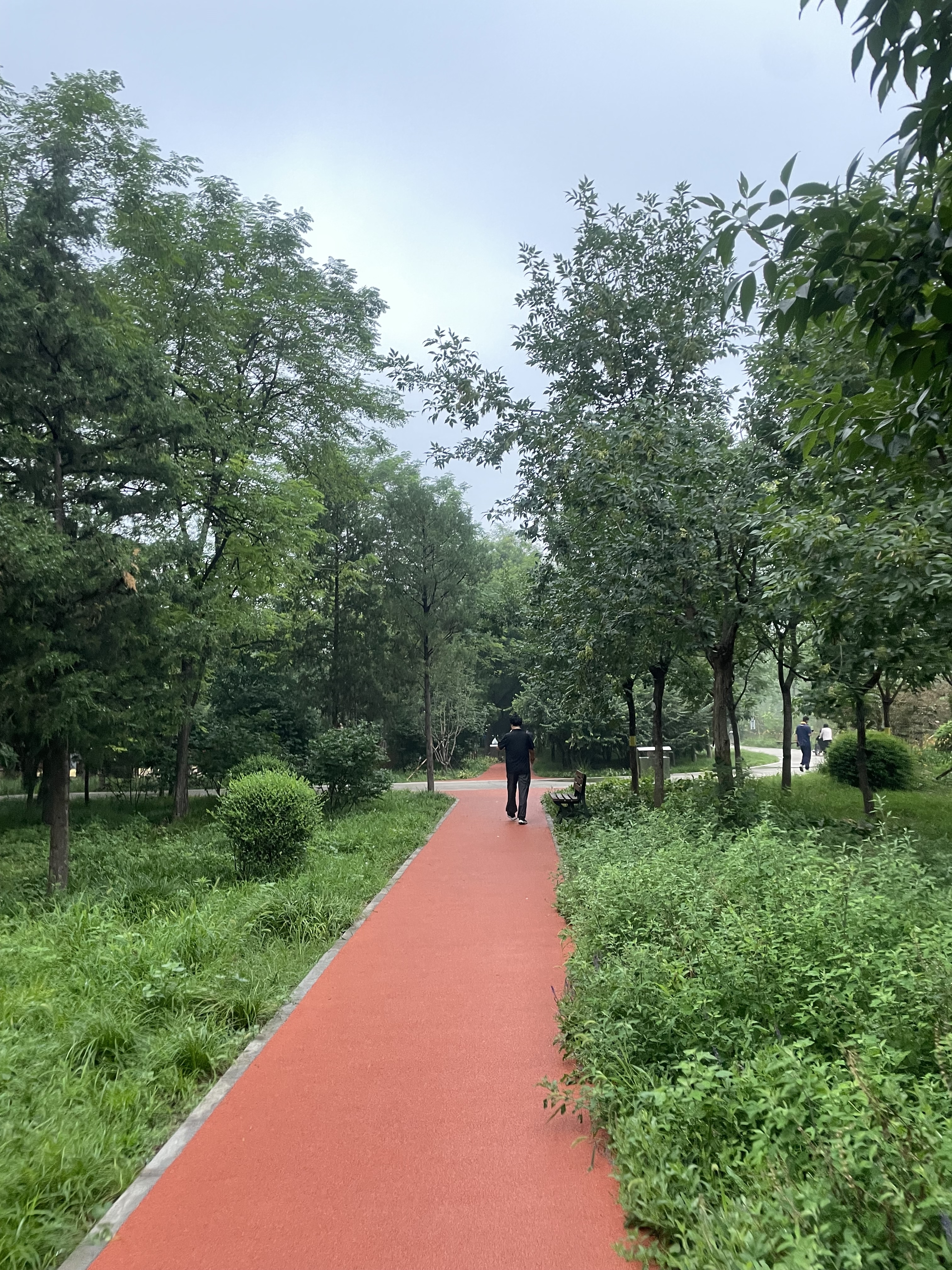 A picture of 4th street in May 2024