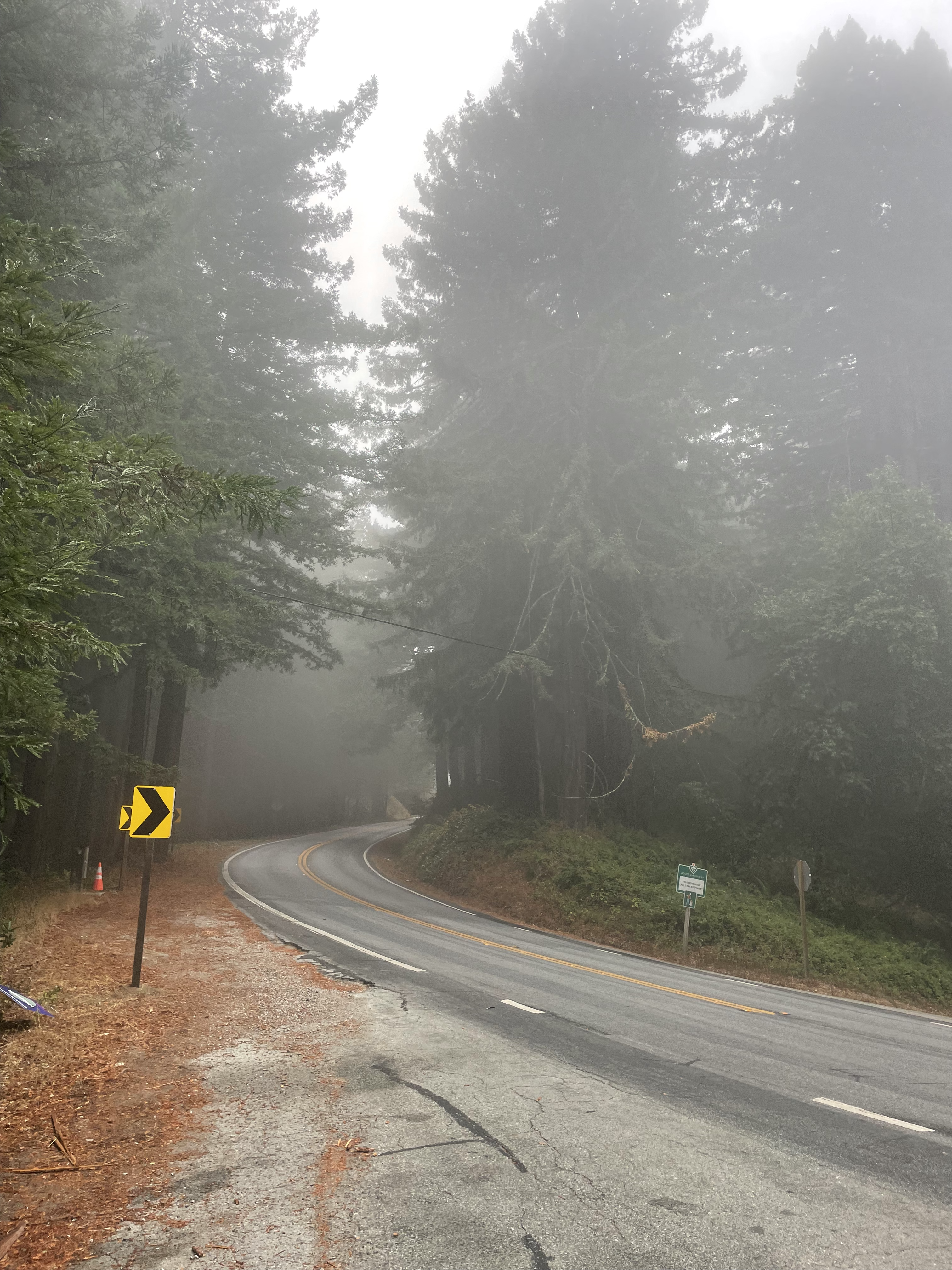 A picture of 4th street in May 2024