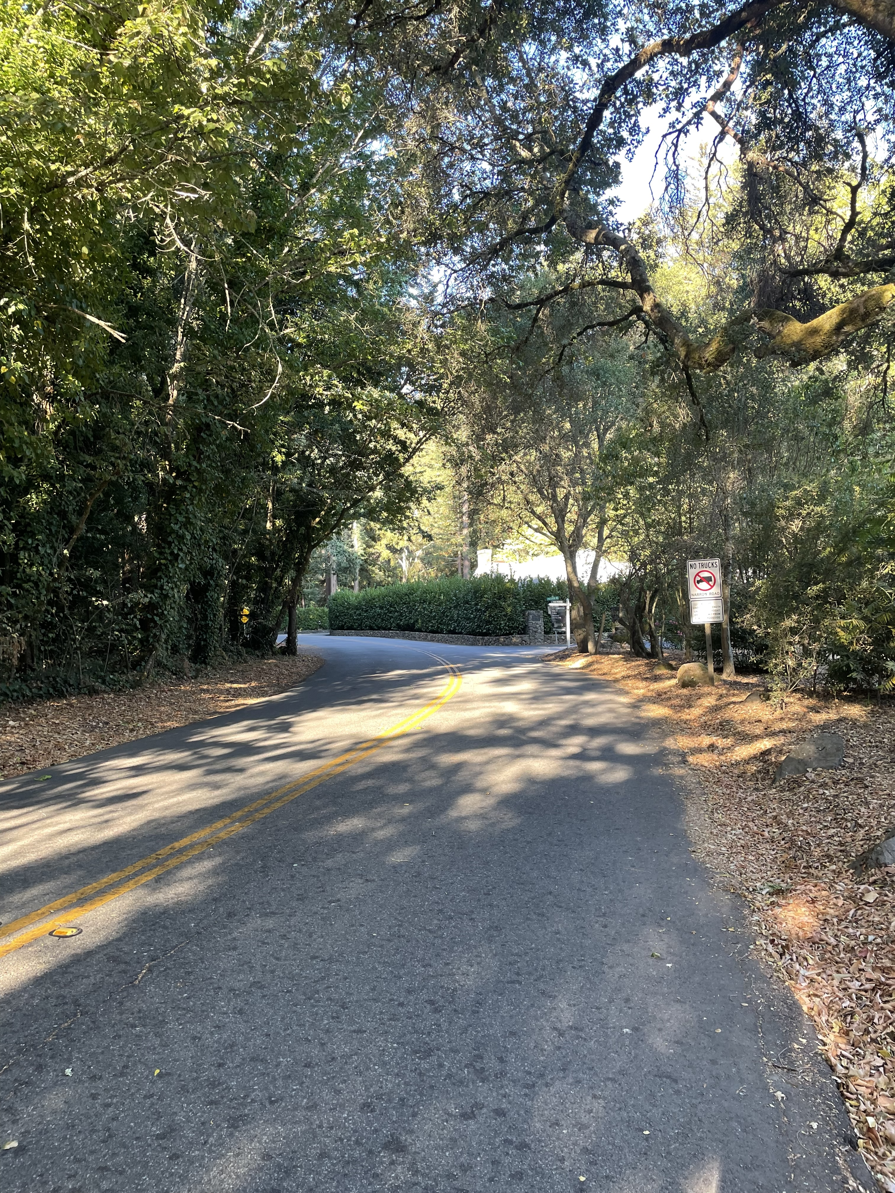 A picture of 4th street in May 2024